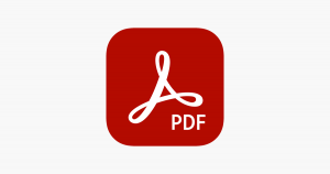 pdf-placeholder